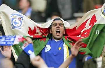 cardiff-fan Taffs in Toon!