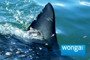 Wonga loan shark.