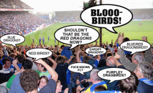 Confused Cardiff fans.